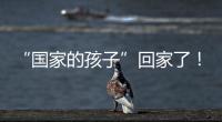 “国家的孩子”回家了
！这场半个多世纪的分别迎来完满结局
