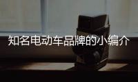 知名电动车品牌的小编介绍电动车电瓶的修复方法