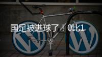国足被进球了	！0比1