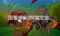 图看神州/熊猫宝宝