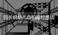 园长说幼儿血铅超标是因为吃了“颜料制作的食品”
，你相信吗�？