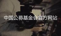 中国公募基金会官方网站观察：在难开“门”的情况下关上“窗”