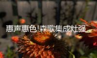 惠声惠色!森歌集成灶强势进驻扶风