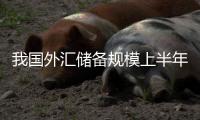 我国外汇储备规模上半年保持稳中有升