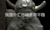 我国外汇市场开局平稳