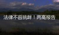 法律不容挑衅！两高报告点名辣笔小球、纸面服刑等