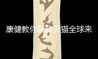 康健教你玩转天猫全球来电�，全场淋浴房双券优惠价狂欢!