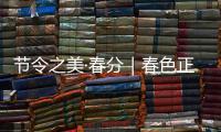 节令之美·春分｜春色正中分，人间恰良辰