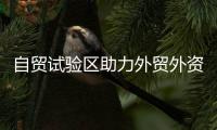 自贸试验区助力外贸外资平稳发展
