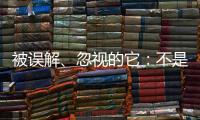 被误解
、忽视的它：不是凉拌菜，退化形势严峻｜世界海草日
