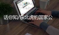 话你知/东北虎豹国家公园