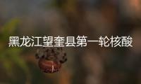 黑龙江望奎县第一轮核酸检测采样结束 采集样本247904份