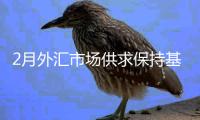 2月外汇市场供求保持基本平衡